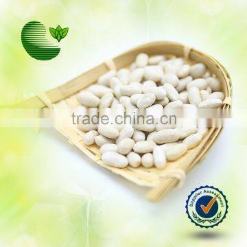 Spanish White Kidney Beans