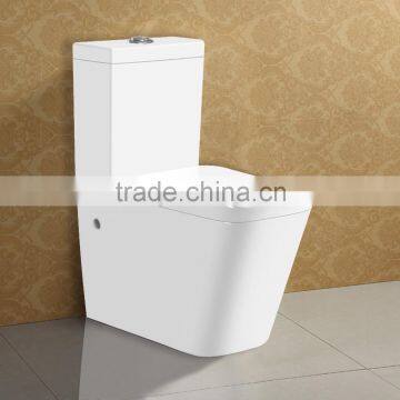 Luxury Wash Down Two Piece P-Trap Toilet