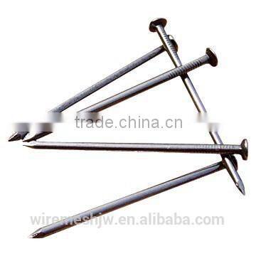 Manufacturer Corrugated Nail/Common Nail