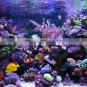 60cm 120cm Best Sale Professional Led Light Aquarium Lighting Programmable Lunar Cycle 90watt photo-4