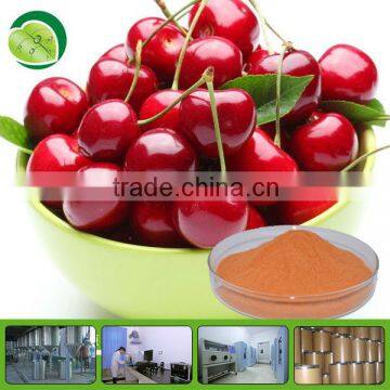 high quality acerola cherry fruit powder