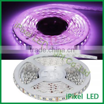 hot sale wholesales 12v rgbw flexible led strip 4 in 1 led chip