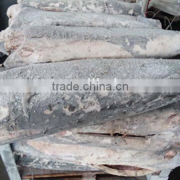 high quality seafrozen swordfish dwt for sale