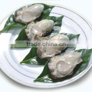 frozen oyster meat