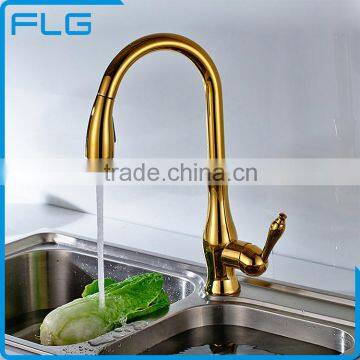 Eco-Friendly Contemporary Brass Pull Out Kitchen Faucet