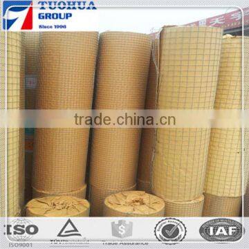 direct china factory galvanized welded mesh price