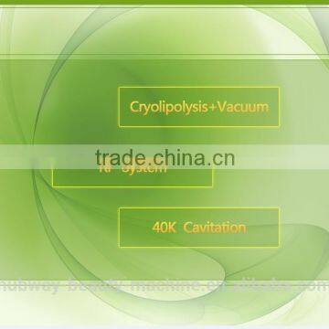 4 Heads Cryolipolysis Cool Shaping Weight Loss Cryotherapy Machine Whole Body photo-6