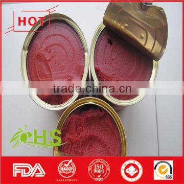 Bulk organic tomato paste
