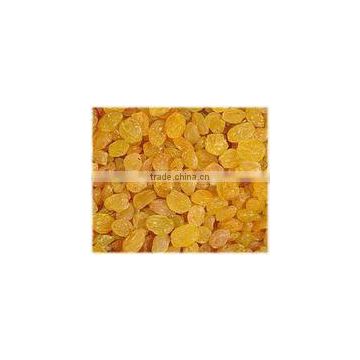 dried golden raisin-High quality