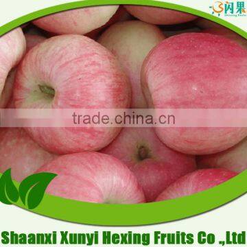 2015 New Fresh Gala Apple Price from Shaanxi China