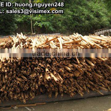 Cassia/cinamon Stick - BEST PRICE, HIGH QUALITY photo-5