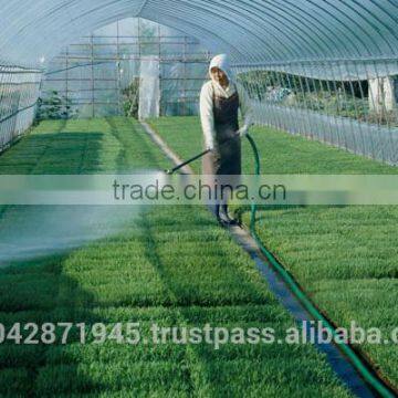 Fashionable Brass Garden Decorative Faucets Watering Golden Nozzle photo-4