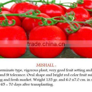 Mishall Hybrid Tomato Seeds