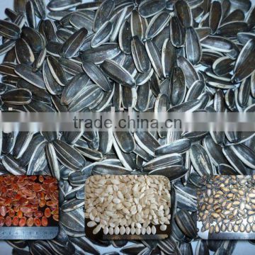 High Quality Chinese Sunflower Seeds 5009 new crop