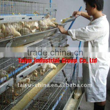 TAIYU-1 chick cage