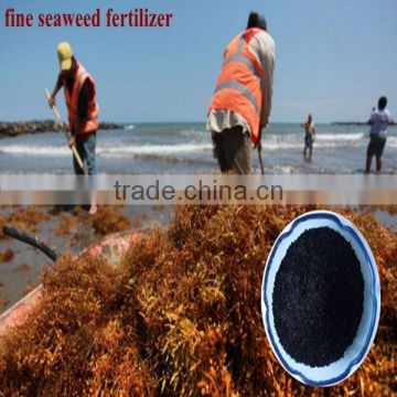 Seaweed Extract Based Organic Fertilizer for manufacturer formulations