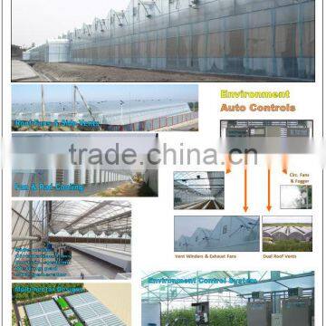 Hydroponic Systems for Greenhouses