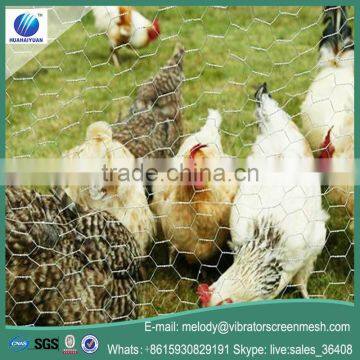 Factory low price chicken coop wire netting hexagonal wire mesh galvanized chicken mesh