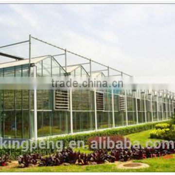 Large Size and Multi-Span Agricultural Greenhouses commercial glass greenhouse