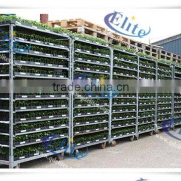 151 Seedling Cart Seedling Trolleys Seedling Rack photo-3
