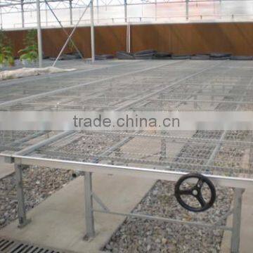 Factory Price PC Sheet Covered Agricultural Greenhouse For Vegetable Seeds photo-5