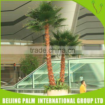 Best Indoor Artificial Tall Plastic Leaves Palm Trees photo-3