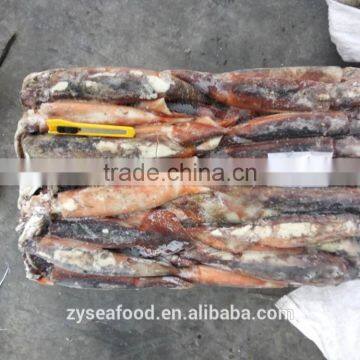 2017 New Arrival Frozen Bulk Argentina Squid/Illex Argentinus photo-2