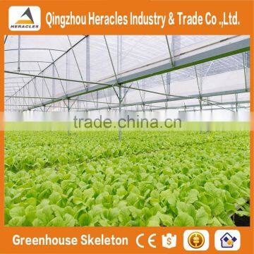 Heracles Trade Assurance Vegetables Multi-span Greenhouse photo-6