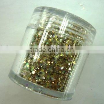 nail art powder/accessory