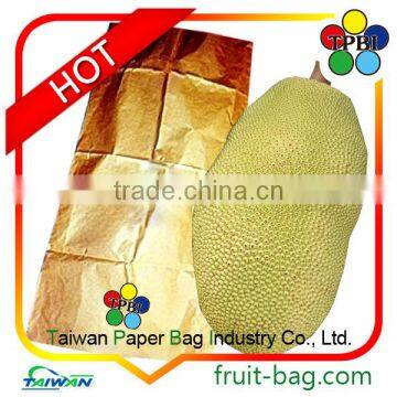 TPBI Taiwan High Quality Fruit Packaging Protection Bag Food Packaging Paper Bag Jackfruit Bag