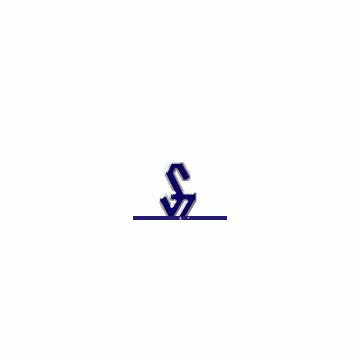 Ningbo Shengtong Fashion Accessories Industrial Corp., Ltd.
