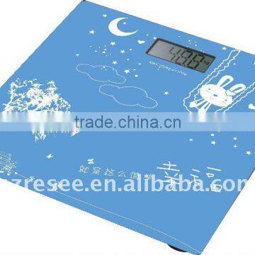 digital analytical scale(RS-6001)