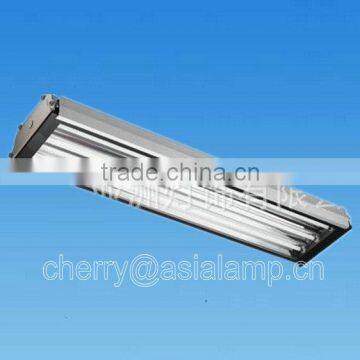 2*54w Fluorescent Tunnel Light fixture