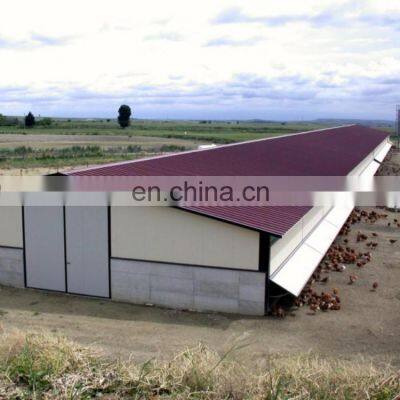 Design Drawing Poultry Coop Use Steel Truss Meat Chicken Fattening Breeding Shed