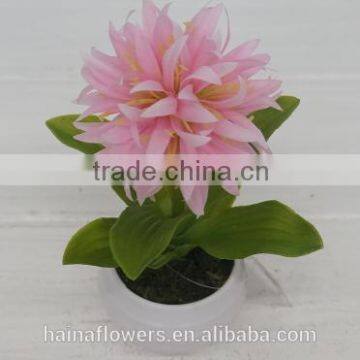 2014 spring Potted crocus artificial fake flower for home or office decorating