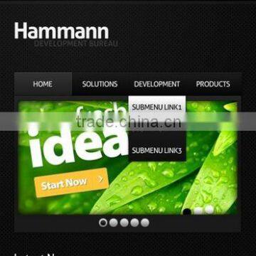web app development
