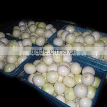 Yellow Onion Big Size photo-3