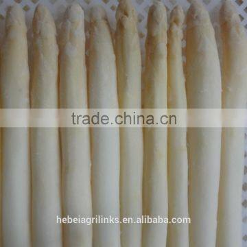 IQF white asparagus