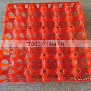 plastic egg tray