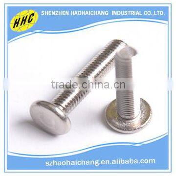 China manufacturer nonstandard stainless steel flat head screw