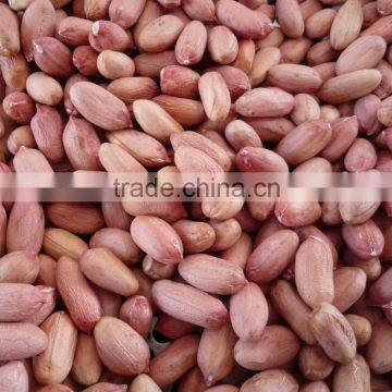 Roasted Peanuts With Skin, Roasted Peanut Kernels, Roased Peanut With Red Skin photo-3