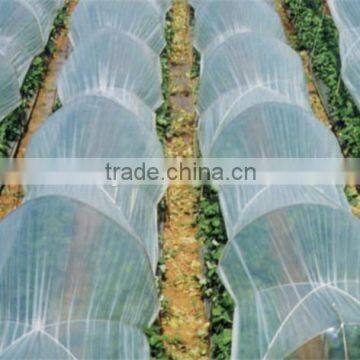 PE Co-extruded Low Tunnel Film For Agriculture