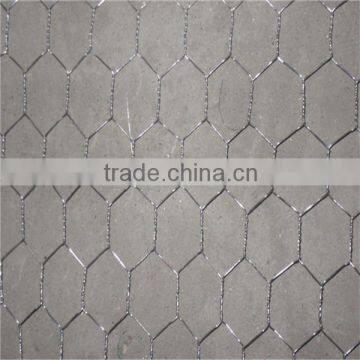 galvanized and pvc Hex wire mesh for sale