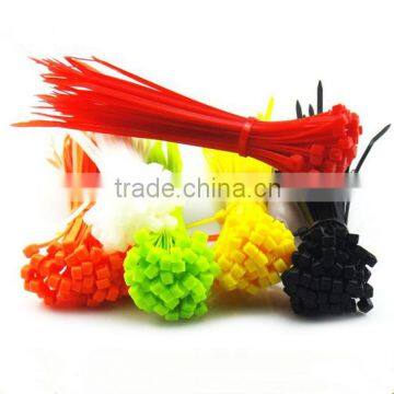 2016 High Quality Self Locking Nylon Cable Tie photo-6