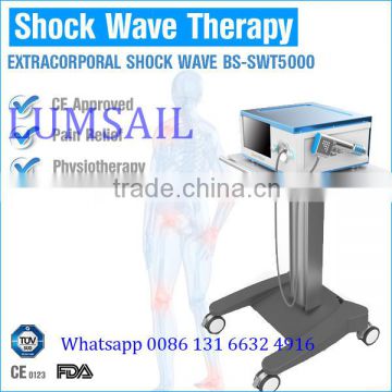 Physiotherapy Equipment Shockwave SWT Portable ESWT for Musculoskeletal Pain