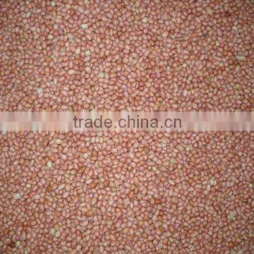 Java Groundnut Exporter