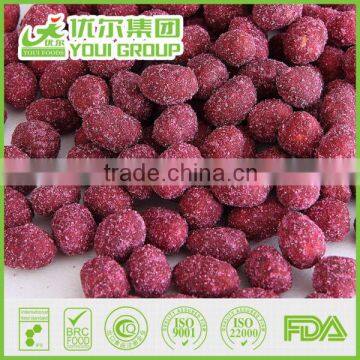 2015 Hot Sale Purple Sweet Potato Sunflower Kernels