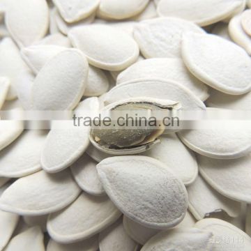 roasted & salted pumpkin seed China origin snow white