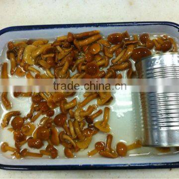 Canned Whole Button Mushroom