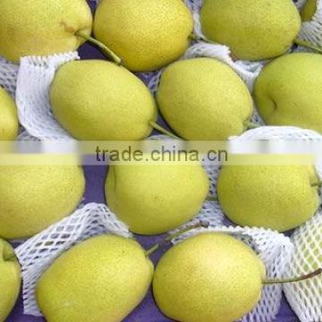 Shandong Pear